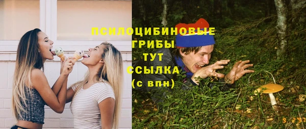 индика Бежецк