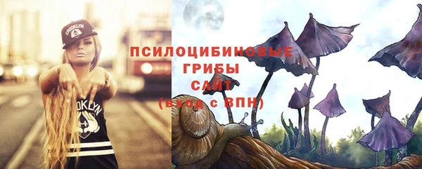 ПСИЛОЦИБИНОВЫЕ ГРИБЫ Нефтекумск