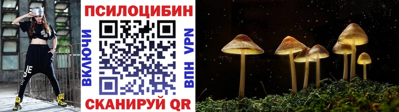 продажа наркотиков гидра ссылки Галлюциногенные грибы MAGIC MUSHROOMS Трубчевск